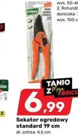 Bricomarche Sekator ogrodowy C &C oferta