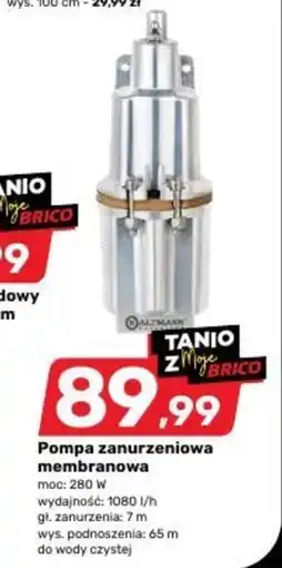 Bricomarche Pompa oferta