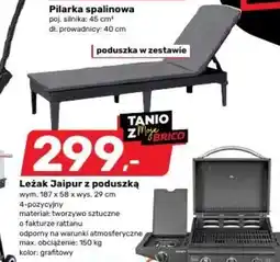 Bricomarche Leżak oferta