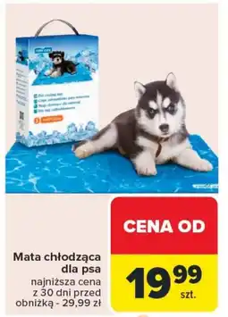 Carrefour chłodząca Mata oferta
