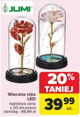 Carrefour Róża Jumi oferta