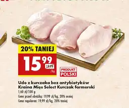 Biedronka Udko z kurczaka Kraina Mięs oferta