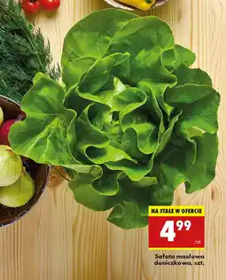 Biedronka Sałata masłowa oferta