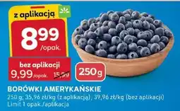 Stokrotka Borówki amerykańskie Stokrotka oferta