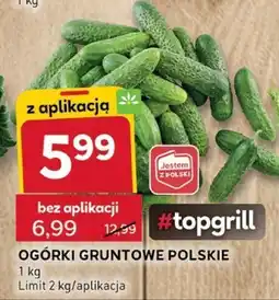 Stokrotka Ogórki gruntowe polskie Stokrotka oferta