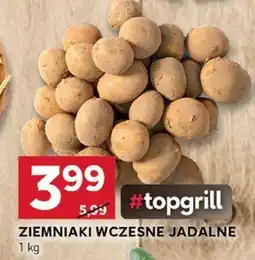 Stokrotka Ziemniaki wczesne jadalne Stokrotka oferta