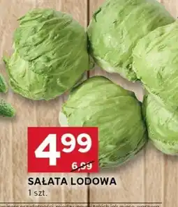 Stokrotka Sałata lodowa Stokrotka oferta