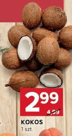 Stokrotka Kokos Stokrotka oferta
