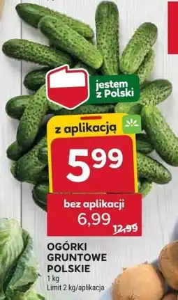 Stokrotka Ogórki gruntowe polskie 1 kg Stokrotka oferta