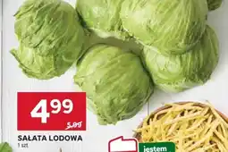 Stokrotka Sałata lodowa 1 szt. Stokrotka oferta