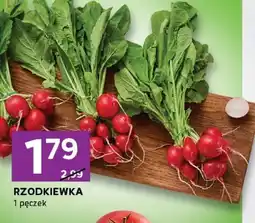 Stokrotka Rzodkiewka 1 pęczek Stokrotka oferta
