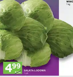 Stokrotka Sałata lodowa 1 szt. Stokrotka oferta