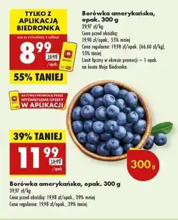 Biedronka Borówka amerykańska opak 300 g oferta