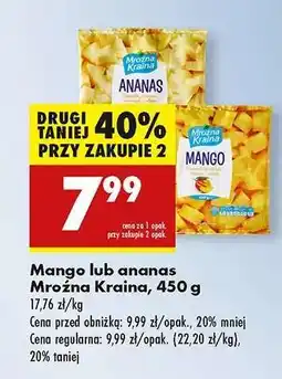 Biedronka Mango lub ananas Mroźna Kraina 450 g oferta