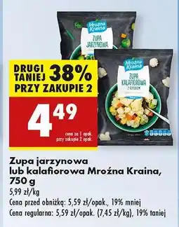 Biedronka Zupa jarzynowa lub kalafiorowa Mroźna Kraina , 750 g oferta