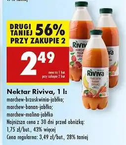 Biedronka Nektar Riviva, 1 l oferta