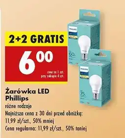 Biedronka Żarówka LED Phillips oferta