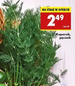 Biedronka Koperek pęczek oferta