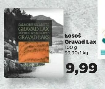 Netto Łosoś Gravad Lax oferta