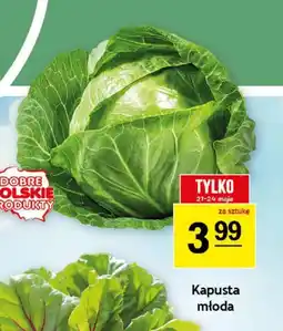 Gram Market Kapusta młoda oferta