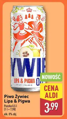 ALDI Piwo Żywiec Lipa & Pigwa oferta