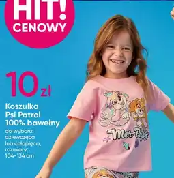 Pepco Koszulka Psi Patrol 100% bawełny oferta