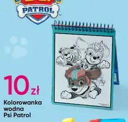 Pepco Kolorowanka wodna Psi Patrol oferta