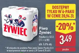 ALDI Piwo Żywiec oferta