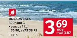 Selgros Dorada cała 300-400 g Selgros oferta