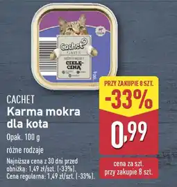 ALDI Cachet karma mokra dla kota oferta