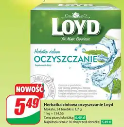 Dino Herbatka ziołowa oczyszczanie Loyd oferta