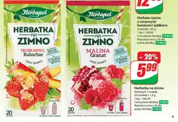 Dino Herbatka na zimno oferta
