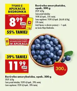 Biedronka Borówki amerykańskie oferta