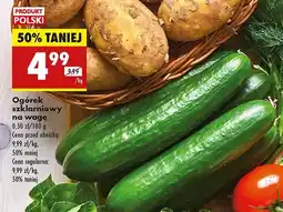 Biedronka Ogórki szklarniowe oferta