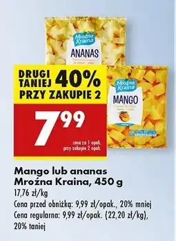 Biedronka Ananas Mroźna kraina oferta