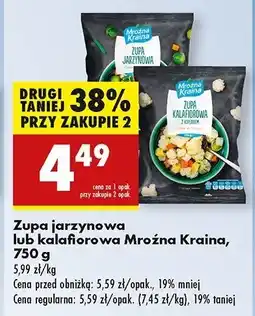 Biedronka Zupa kalafiorowa Mroźna kraina oferta