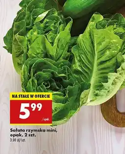 Biedronka Sałatka rzymska mini oferta