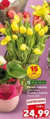 Kaufland Polskie tulipany oferta