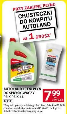 Selgros Autoland Letni Płyn do Spryskiwaczy Psik Psik 4L oferta