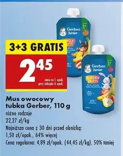 Biedronka Mus dla dzieci garden fruits Gerber junior oferta