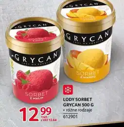 Selgros Lody Sorbet Grycan 500 g oferta