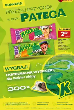 Biedronka Lód patec sensei Nestle kaktus oferta