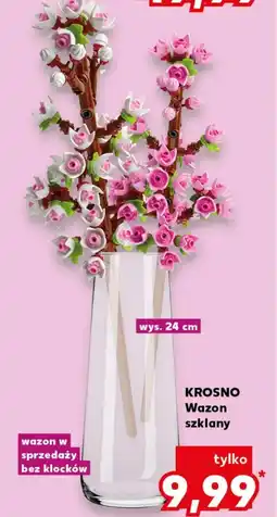 Kaufland Wazon Krosno oferta