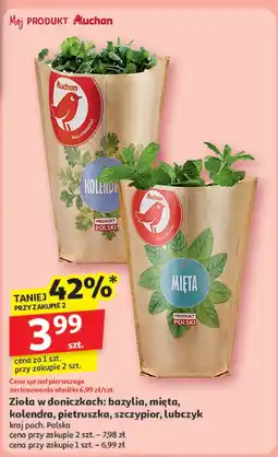 Auchan Mięta Auchan oferta