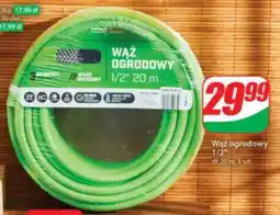 Dino Wąż ogrodowy 1/2 oferta