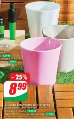 Dino Osłonka ceramiczna do storczyka oferta