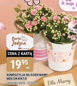 bi1 Kompozycja na dzień mamy oferta