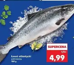 Kaufland Łosoś atlantycki patroszony oferta