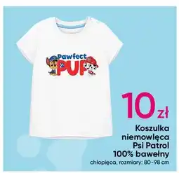 Pepco Koszulka psi patrol 80-98 cm oferta