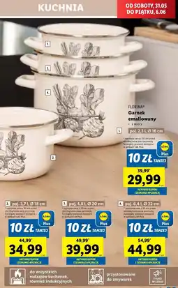 Lidl Garnek emaliowany 22 cm Florina (Florentyna) oferta